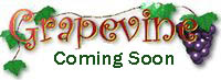 Grapevine